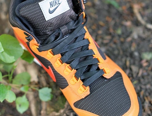 Nike ACG Lava Dunk - Fall 2011
