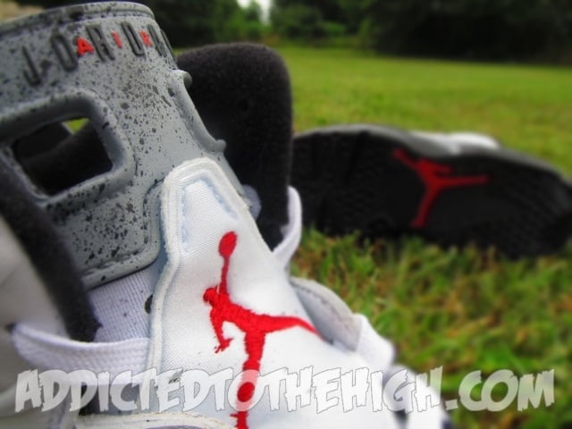 raptor jordan 6