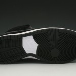 Nike-SB-New-Arrivals-at-BNYCOnline-12