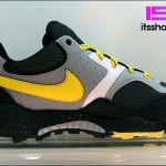 Nike ACG Air Abaziro 2.0 - Summer 2011