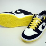 nike-dunk-high-id-premium-samples-7
