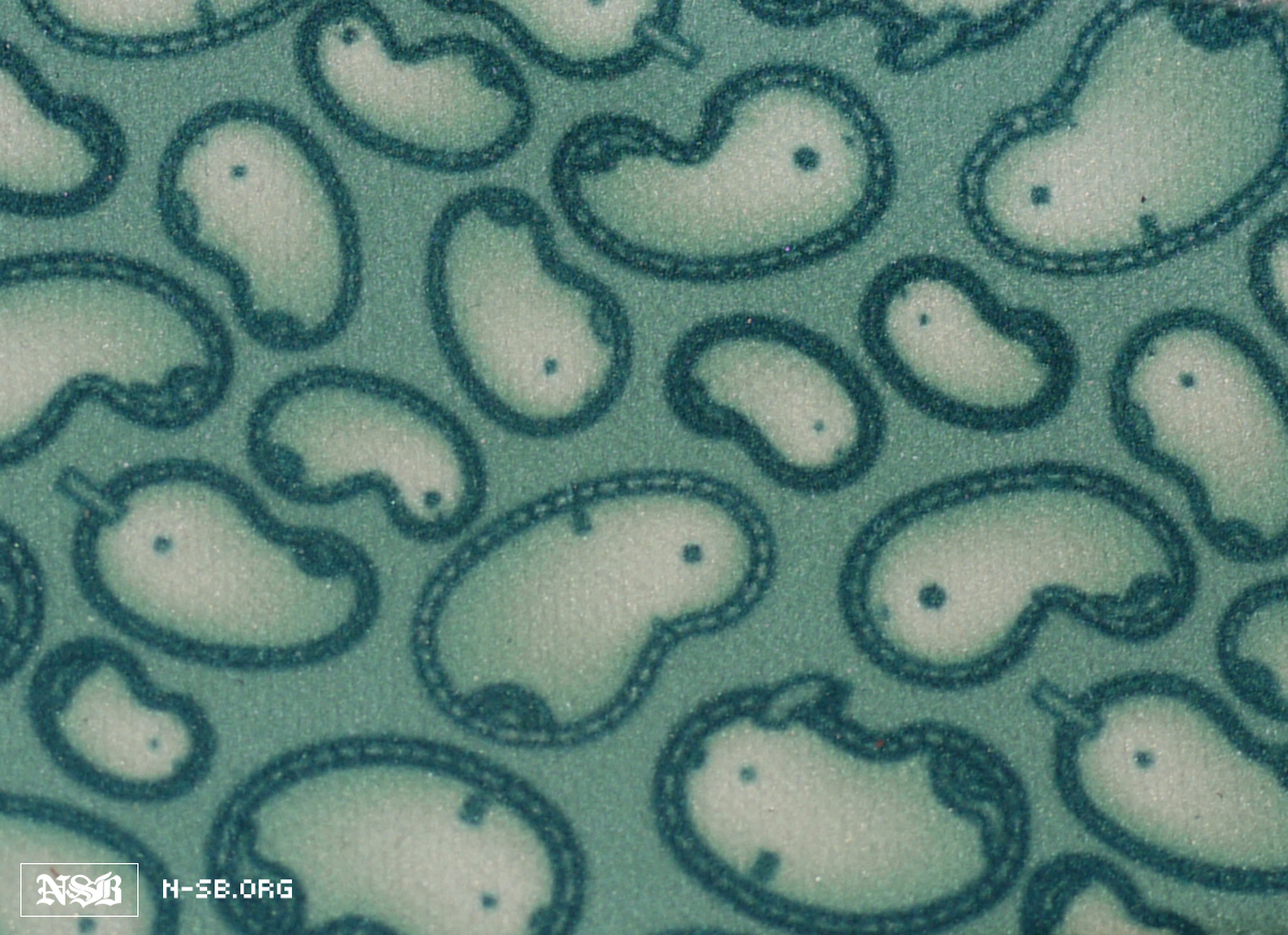 nike sb x lance mountain