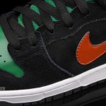 nike-sb-dunk-high-jagermeister-fall-2011-4