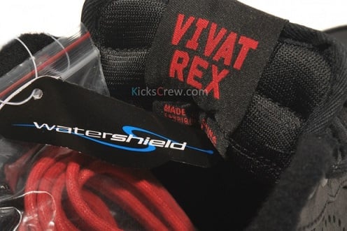 Nike Air Force 1 Low LeBron James - November 2011