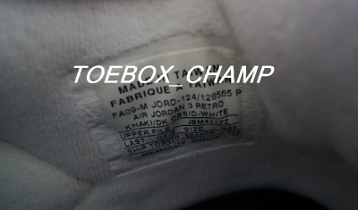 jordan retro 3 mens size 12