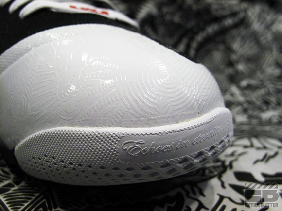 Freegums x Nike LeBron 9 Toe Box