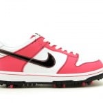nike-dunk-low-ng-golf-new-images-7
