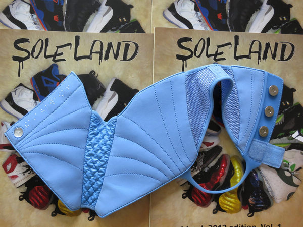 Air Jordan XVI (16) 'Pantone' Sample