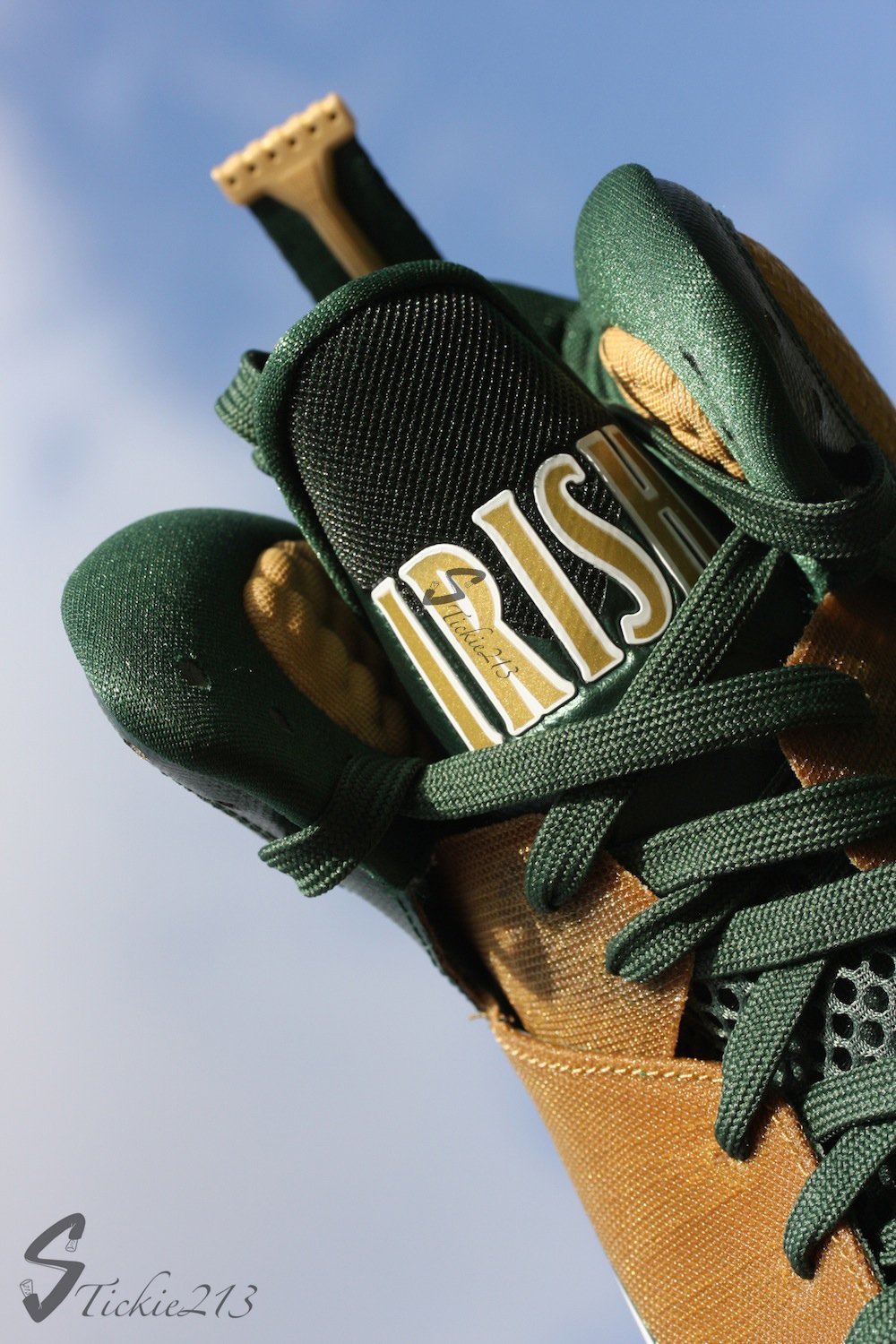 Nike LeBron 9 SVSM 'Away' PE - Detailed Look