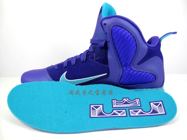 Nike LeBron 9 'Summit Lake Hornets' - More Looks