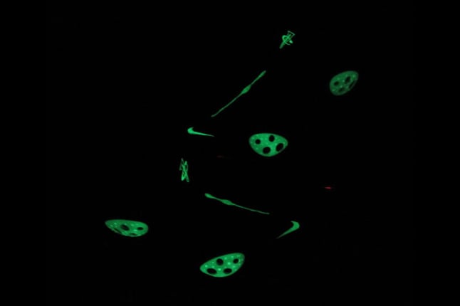 another-nike-zoom-rookie-lwp-galaxy-custom-6