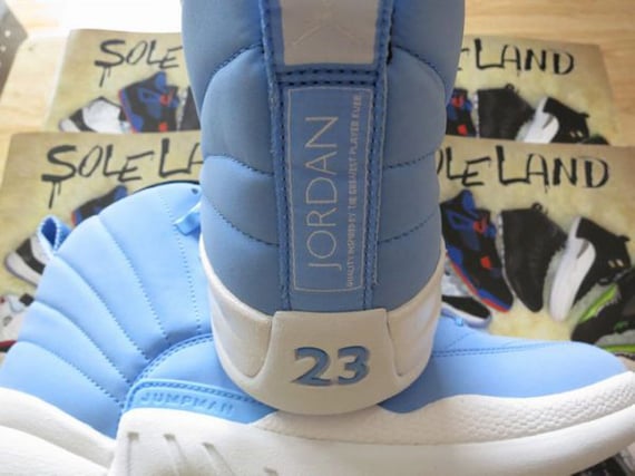 Air Jordan XII (12) Pantone Sample