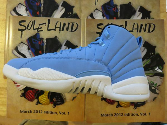 Air Jordan XII (12) Pantone Sample