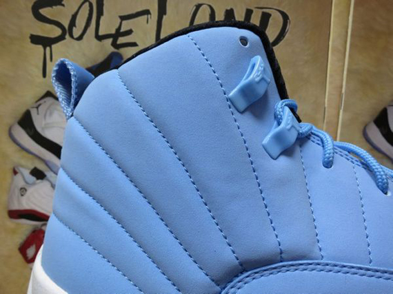 Air Jordan XII (12) Pantone Sample