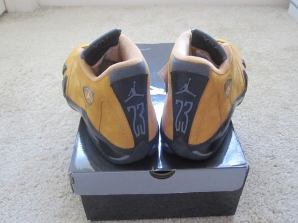 Air Jordan XIV (14) 'Chutney' Sample