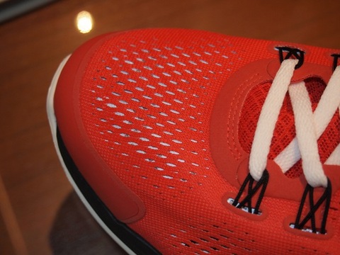 Nike LunarGlide+ 4 iD Samples