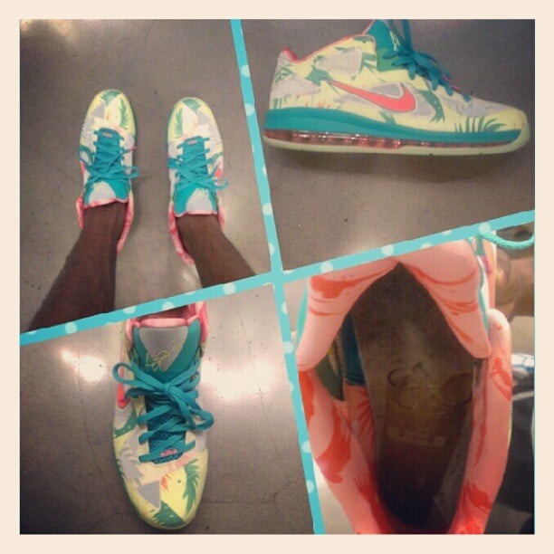 lebron 9 lebronold palmer