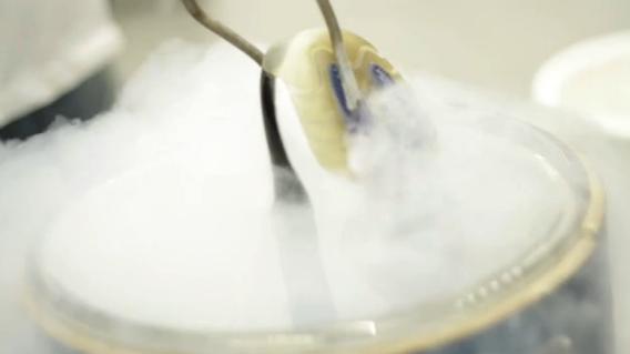 a-new-way-to-destroy-fake-air-jordan-sneakers-2