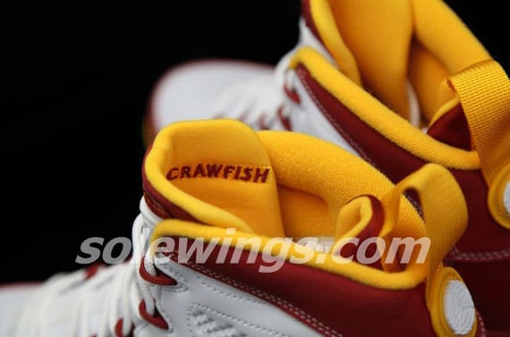 crawfish jordans