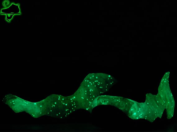 nike-air-foamposite-one-luminous-galaxy-custom-5