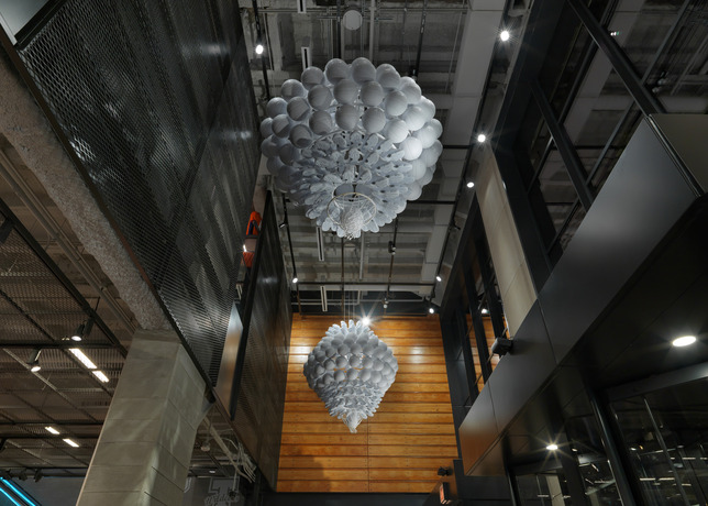 Nike Chicago Reopens Today