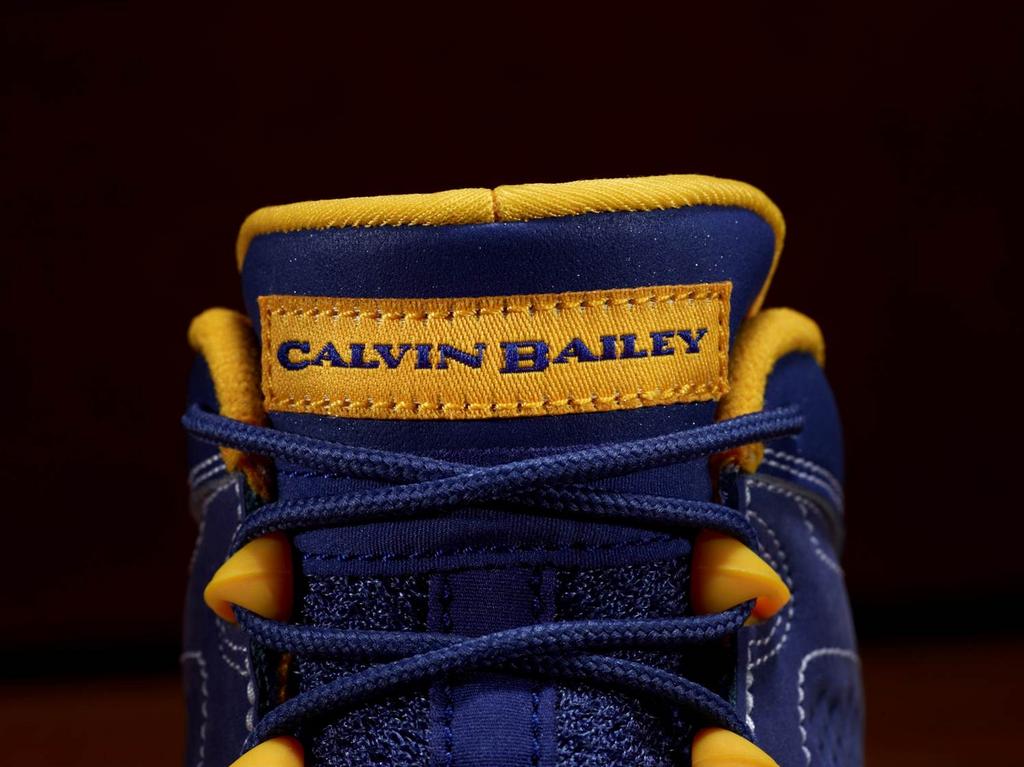 Air Jordan IX (9) 'Calvin Bailey' - New Images