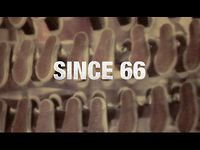 Video: Vans ‘Since 66’ Short Film