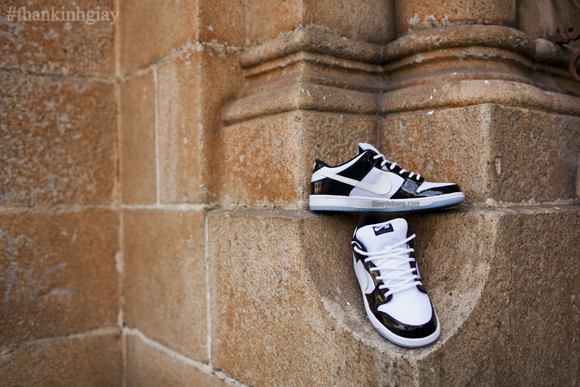 Nike Dunk SB Low - Concord