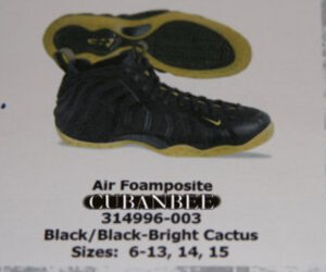 Nike Foamposite One Black/Cactus Catalog Picture