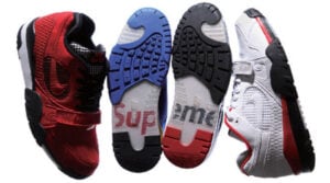 Supreme x Nike SB Trainer TW II