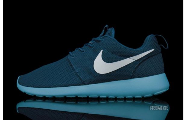 nike roshe blue