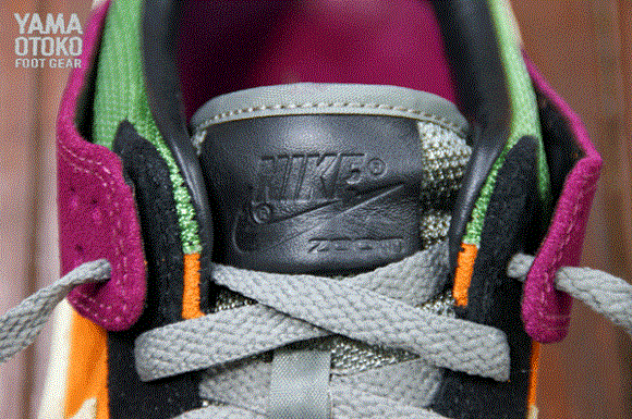 Detailed Look Nike Dunk Retro Viotech