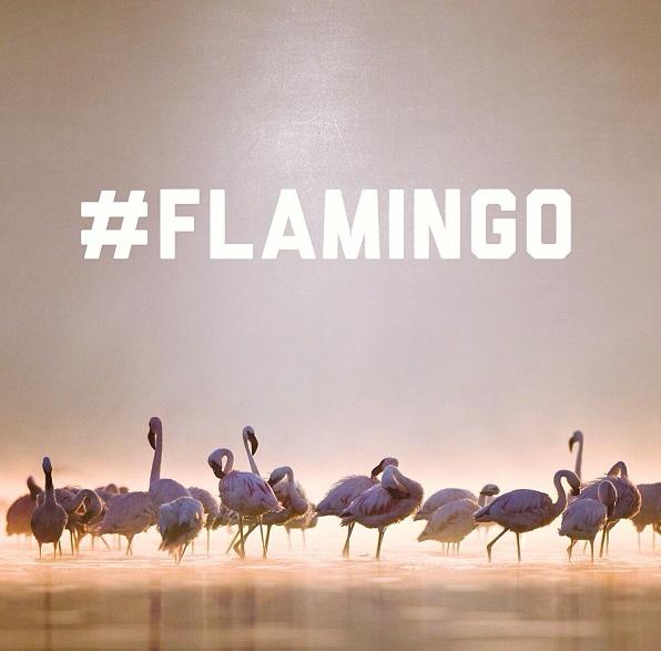 ronnie-fieg-asics-gel-lyte-iii-flamingo-preview-3
