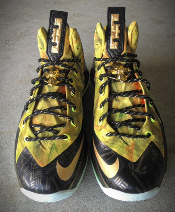 Nike LeBron X Elite 2 Time Champ Fusion by Mache Customs