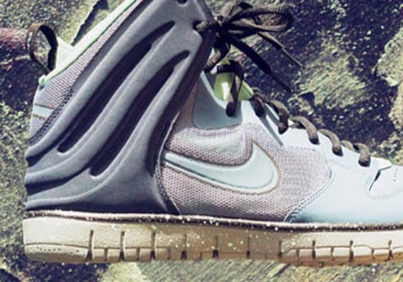 Nike Dunk Free Arago