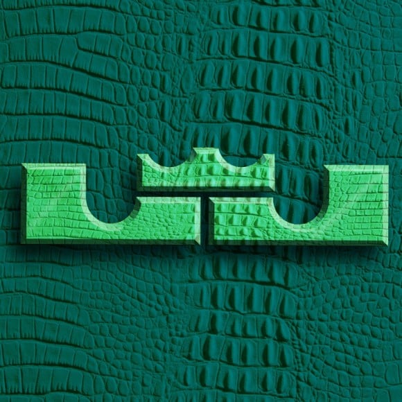 Nike LeBron 11 GS T-Rex