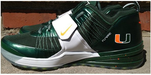 nike zoom revis