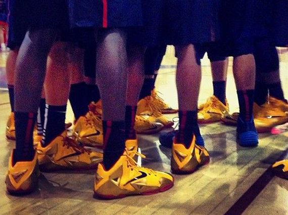 Nike LeBron 11 Fairfax PE