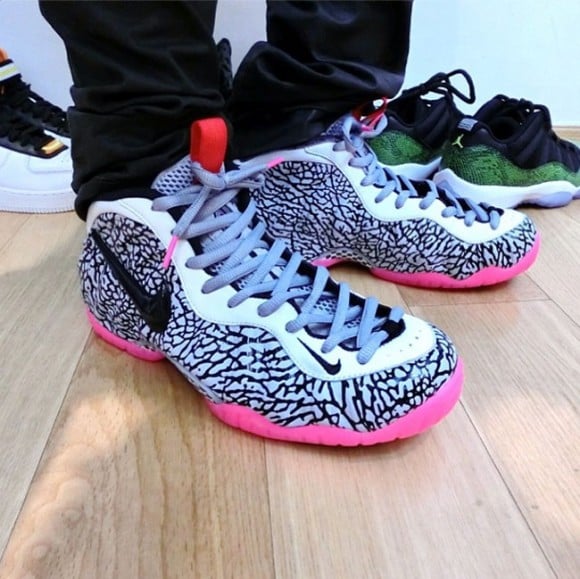 elephant print foams