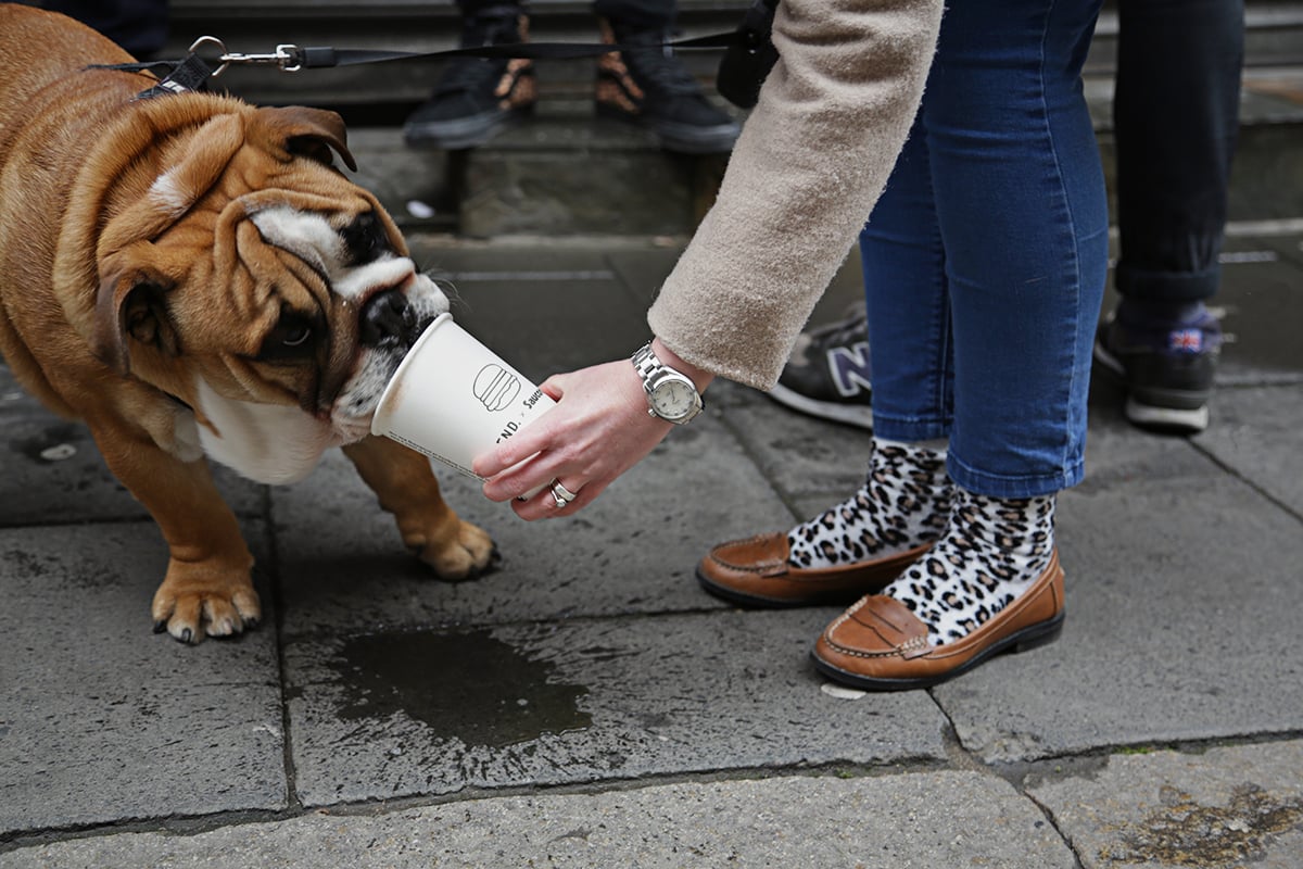 end-saucony-shadow-5000-burger-launch-party-recap-8