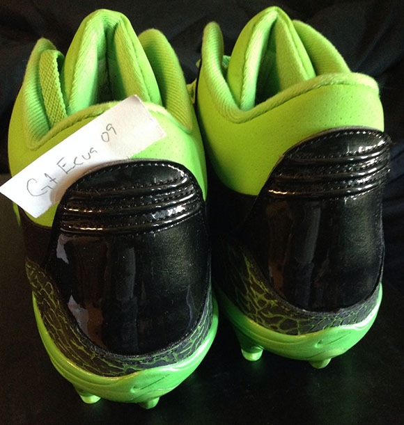 Terrell Owens Seattle Seahawks Air Jordan 3 PE Cleats