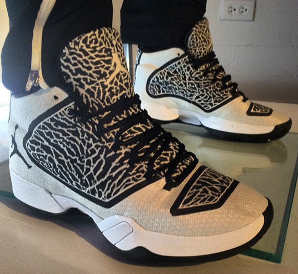 Air Jordan XX9 White/Black Elephant Print