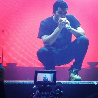 Nike Sb Zoom Harbor Fish Mens Air Jordan Size 11.5 For Sale