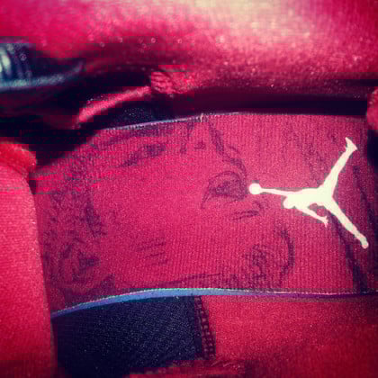 Nike Sb Zoom Harbor Fish Mens Air Jordan Size 11.5 For Sale