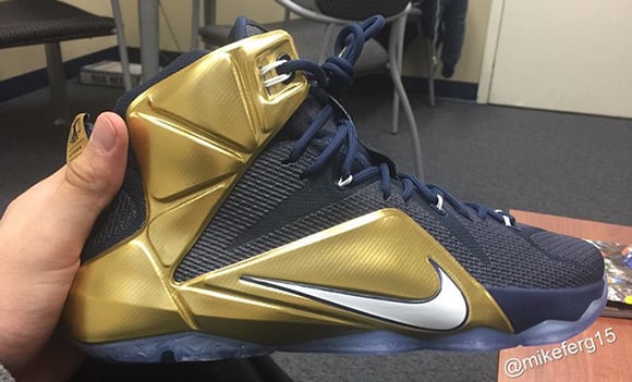 Nike LeBron 12 Akron PE