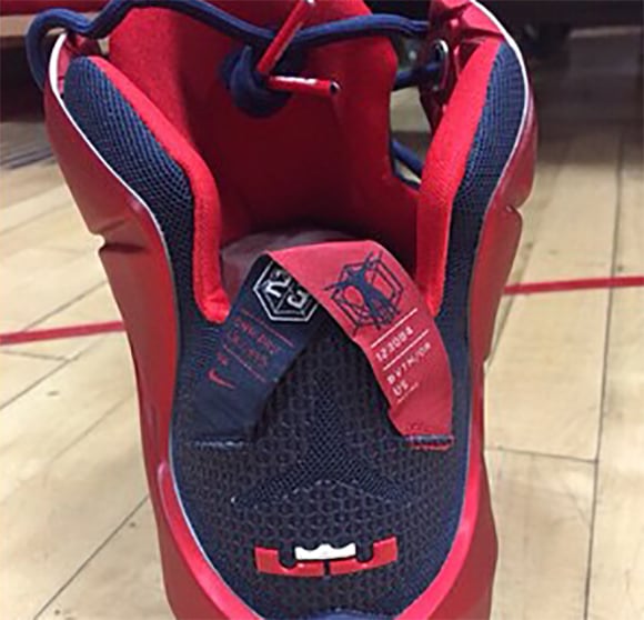 Nike LeBron 12 Arizona Wildcats PE