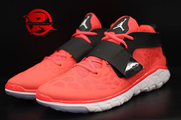 jordan flight flex trainer 2