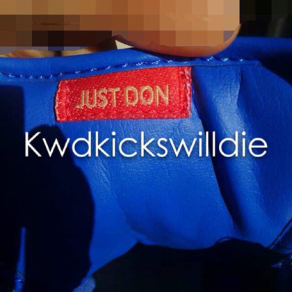 Nike Sb Zoom Harbor Fish Mens Air Jordan Size 11.5 For Sale