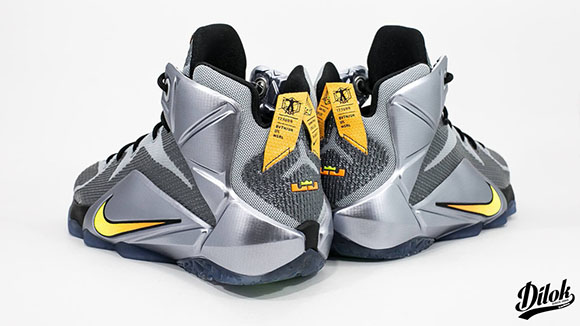 Nike LeBron 12 GS Flight