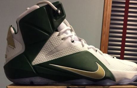 lebron 12 svsm